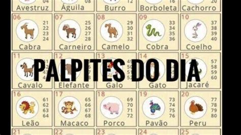 palpite jogo do bicho hoje